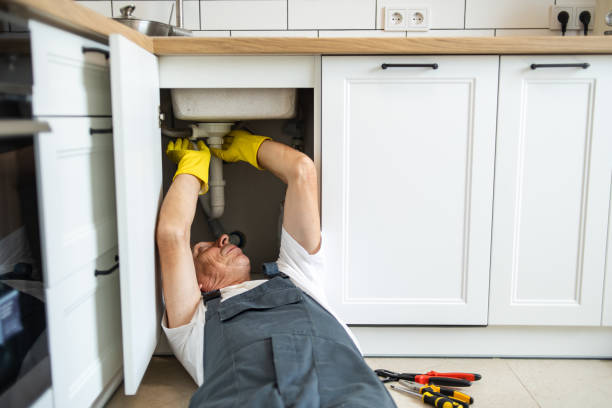 Best Clogged Drain Plumber  in Two Harbors, MN